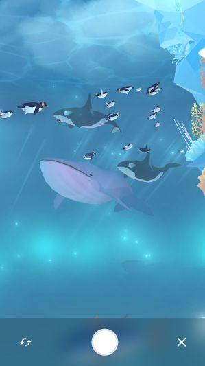Game nuôi cá