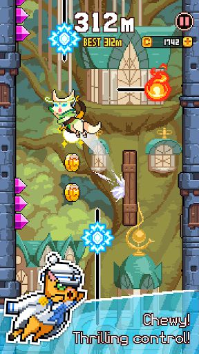Cat Jump – Cute Cats