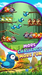 Trò chơi phân loại chim 2