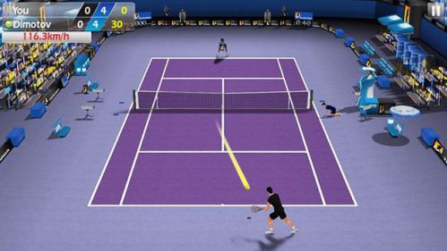 3D Tennis mod unlimited money