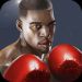 Vua quyền thuật Punch Boxing 3D