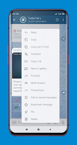 Detailed screenshot