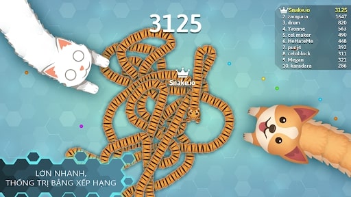 Get Snake.io MOD unlimited money now