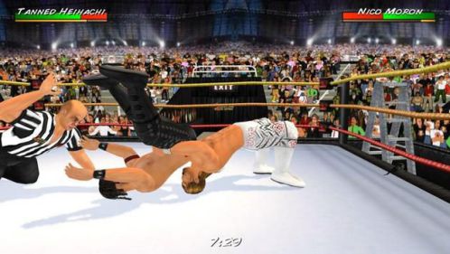 Wrestling Revolution 3D unique wrestling game
