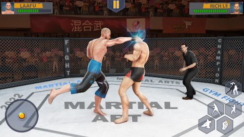Martial Arts Karate Fighting fighting