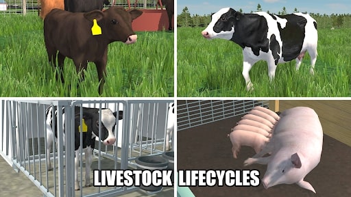 American Farming ApkUnlimit