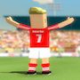 Mini Soccer Star 2024 Cup