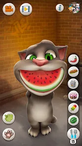 Talking Tom Cat