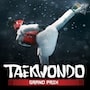 Taekwondo Grand Prix