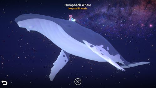 Ocean -The place in your heart riding whales