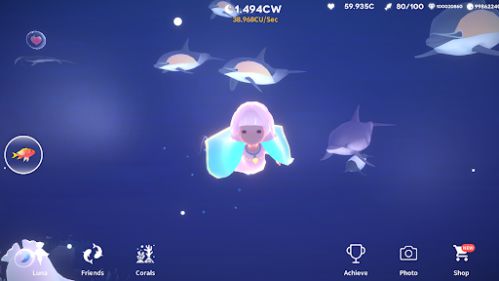 Experience an ocean adventure