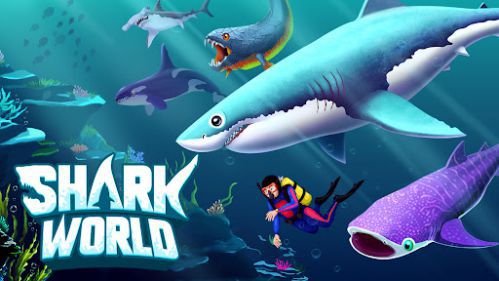 Shark World train sharks