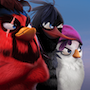 Angry Birds Evolution 2024