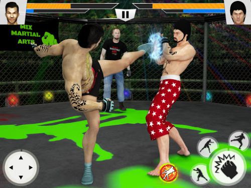 Martial Art Cage and martial arts
