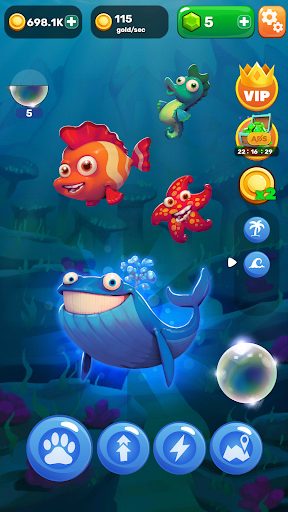 Zo and marine animals