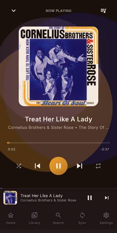 I was tired of constantly updating broken modded Spotify, so I built Stash : r/SpotifyLatestModAPK