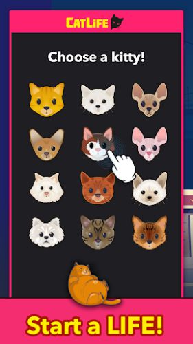 BitLife Cats - CatLife countless cat species