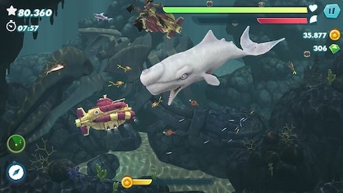 Hungry Shark Evolution MOD avec beaucoup d'or