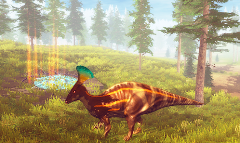 Ảnh chụp trải nghiệm