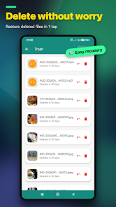 Screenshot image