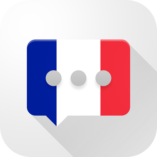 French Verb Blitz Pro