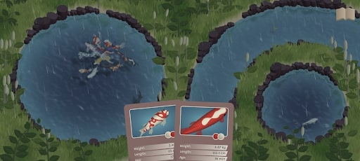 Koi Farm at ApkUnlimit