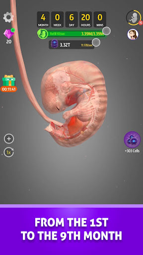 Idle 9 Months trên ApkUnlimit