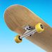 Flip Skater
