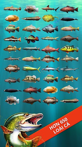 Let's Fish MOD Kéo Cá Nhanh