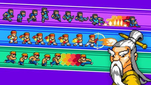 Kung Fu Z street karate