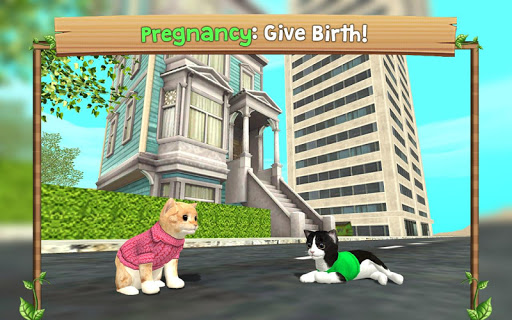 Cat Sim Online MOD unlimited money