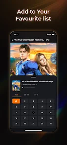 Screenshot image