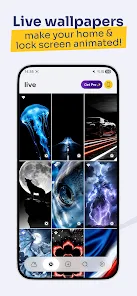 Screenshot image