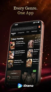 Screenshot image
