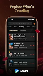 Screenshot image