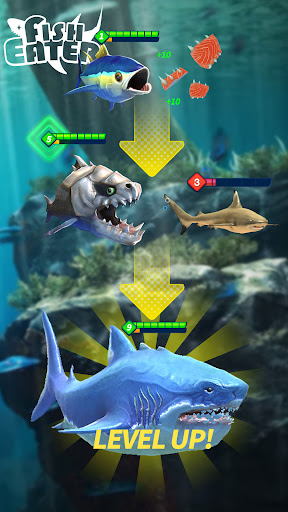 Shark game MOD