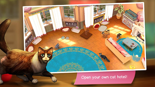 Cat hotel management game
