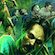 DEAD PLAGUE: Zombie Outbreak