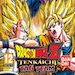 Dragon Ball Z Tenkaichi Tag Team