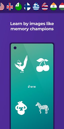 Descargar Drops Language Learning MOD APK