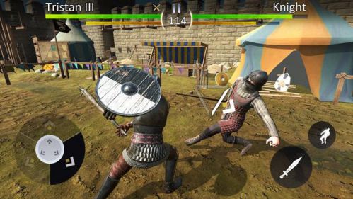 Medieval Arena Fighting Game