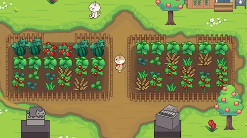 Cat Forest MOD Unlimited Money