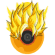Super Saiyan Photo DBZ