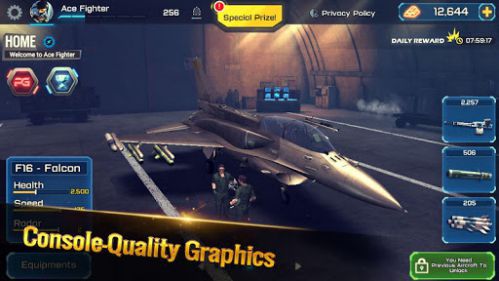 Ace Fighter pilot plane