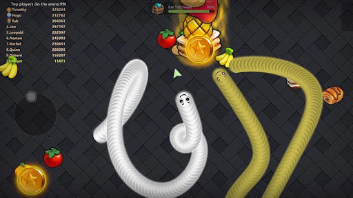 Snake Lite MOD coins